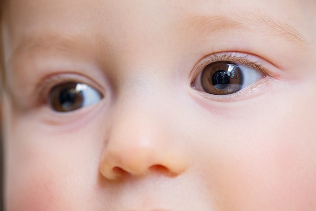 I grandi occhi di un piccolo bellissimo bambino si chiudono in su