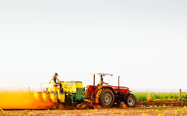 I lavoratori agricoli lavorano per piantare il raccolto L'agricoltura è una delle basi principali dell'economia brasiliana