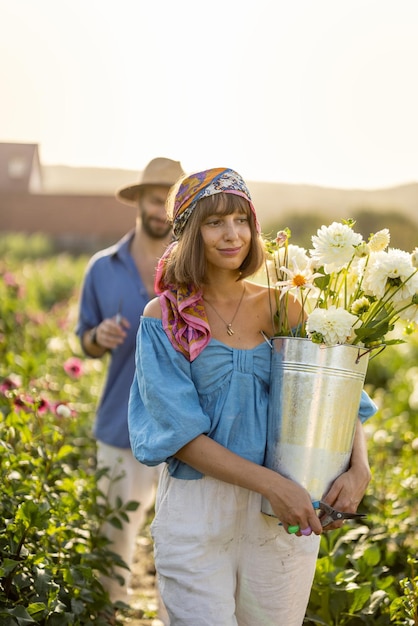 I lavoratori agricoli raccolgono fiori di dalia in una fattoria rurale all'aperto