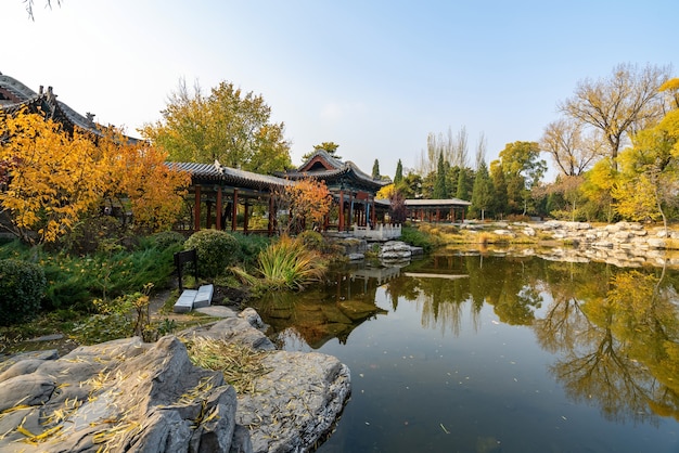 I loft e gli alberi di ginkgo della costruzione antica sono in Jinci Park Taiyuan Shanxi Cina