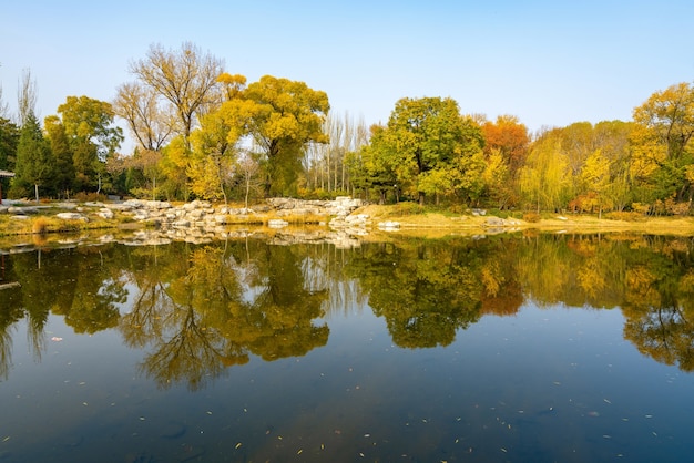 I loft e gli alberi di ginkgo della costruzione antica sono in Jinci Park Taiyuan Shanxi Cina