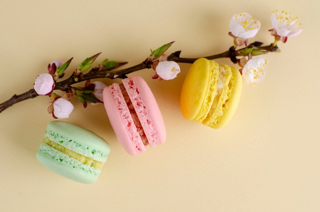 I macarons variopinti francesi o i maccheroni con l&#39;albero di fioritura dell&#39;albicocca fiorisce su beige pastello