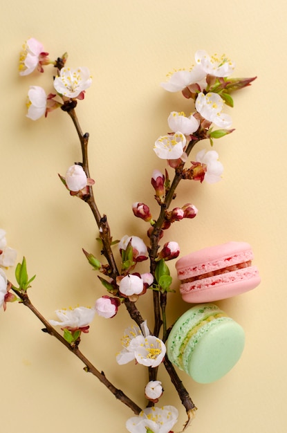 I macarons variopinti francesi o i maccheroni con l&#39;albero di fioritura dell&#39;albicocca fiorisce su beige pastello