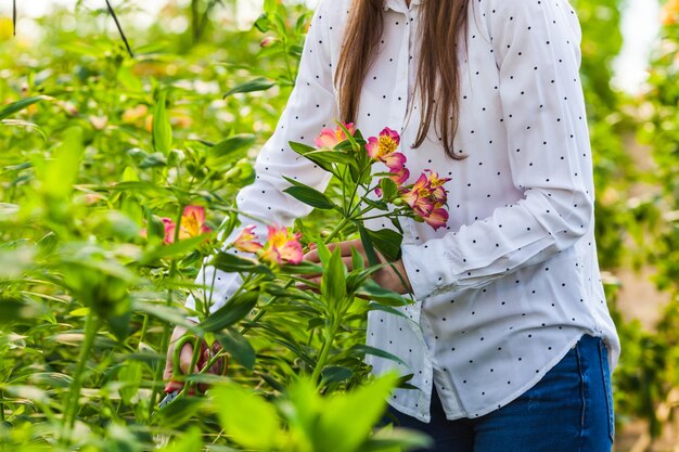 I meravigliosi fiori di alstroemeria