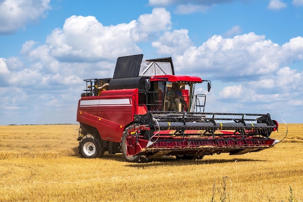 I moderni raccoglitori pesanti rimuovono il pane di grano maturo in campo Lavoro agricolo stagionale