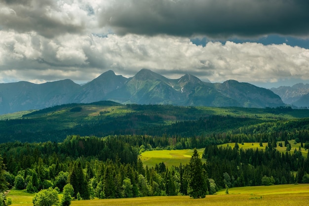 I Monti Tatra abbelliscono prati e alberi verdi lussureggianti in estate