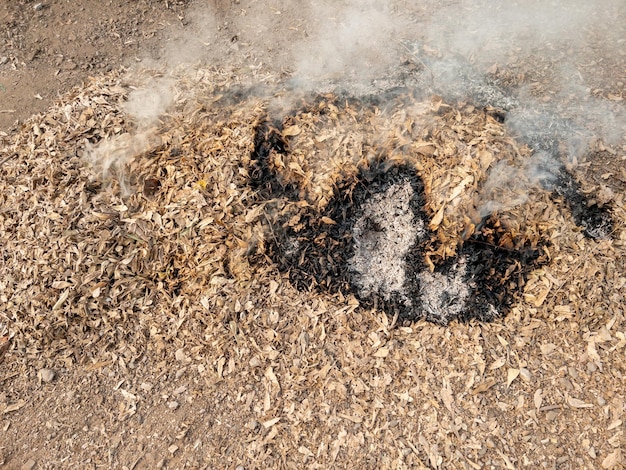 I mucchi di foglie secche furono bruciati a terra