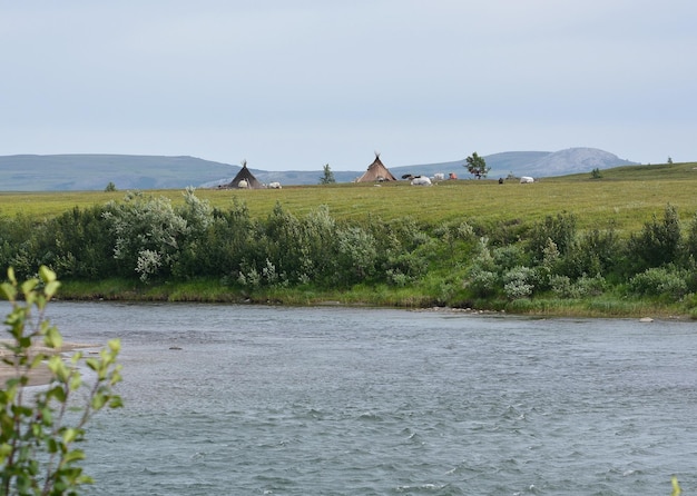 I Nenet si accampano a Yamal