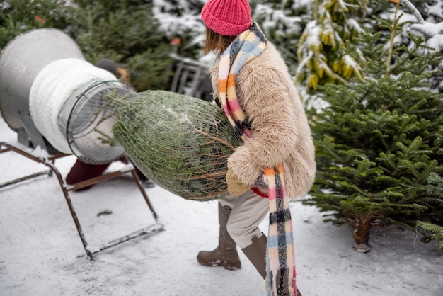 I pacchi della donna hanno appena comprato l'albero di Natale al mercato