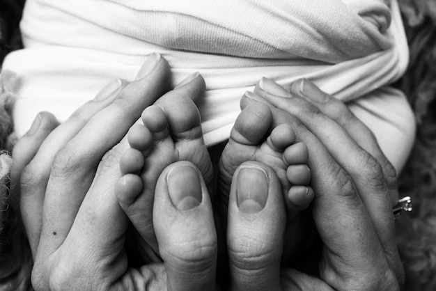 I palmi del padre, la madre reggono il piede del neonato. Piedi del neonato sui palmi dei genitori. Fotografia in studio delle dita dei piedi, dei talloni e dei piedi di un bambino. Nero bianco.