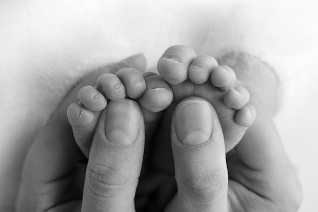 I palmi del padre, la madre tengono il piede del neonato. Piedi del neonato sui palmi dei genitori. Fotografia in studio delle dita dei piedi, dei talloni e dei piedi di un bambino. Bianco e nero.