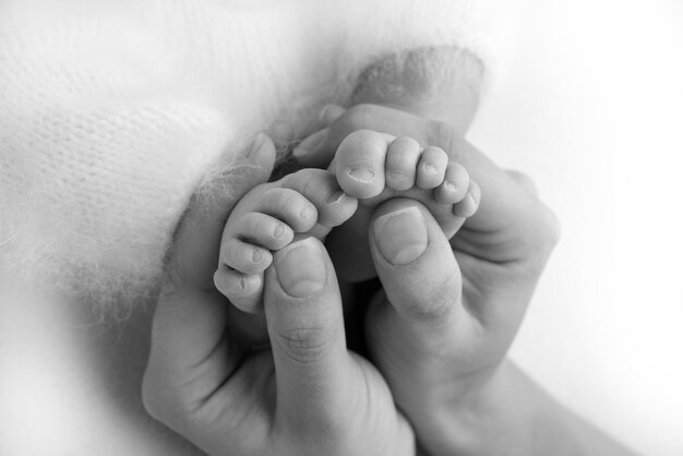 I palmi del padre, la madre tengono il piede del neonato. Piedi del neonato sui palmi dei genitori. Fotografia in studio delle dita dei piedi, dei talloni e dei piedi di un bambino. Bianco e nero.