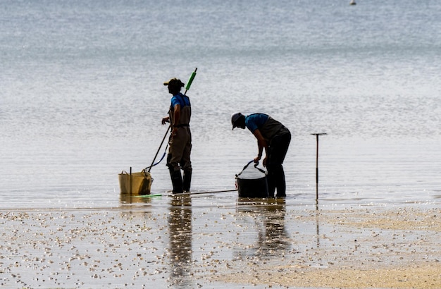 I pescatori si preparano a raccogliere vongole e cozze dalla spiaggia con i loro rastrelli.