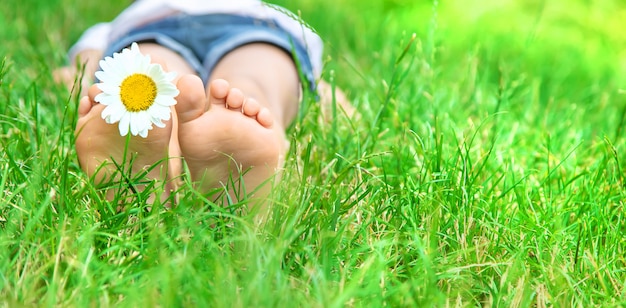 I piedi dei bambini con la camomilla su erba verde.