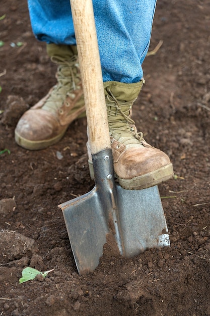 I piedi dei contadini calzati con stivali e jeans scavano il terreno con una pala in primo piano