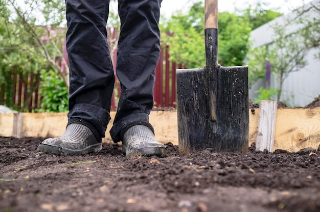 I piedi di un uomo con scarpe di gomma e una pala d'acciaio stanno per terra in giardino