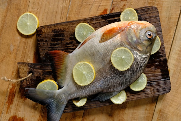 I Pomfrets sono pesci perciformi appartenenti alla famiglia dei Bramidae. Ikan Bawal. Pompelmo fresco e limone.