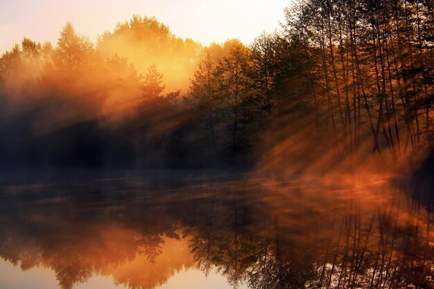 I primi raggi del sole nascente al fiume nebbioso