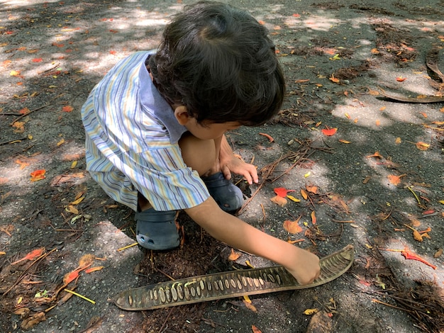 I ragazzi asiatici stanno giocando semi che cadono dagli alberi