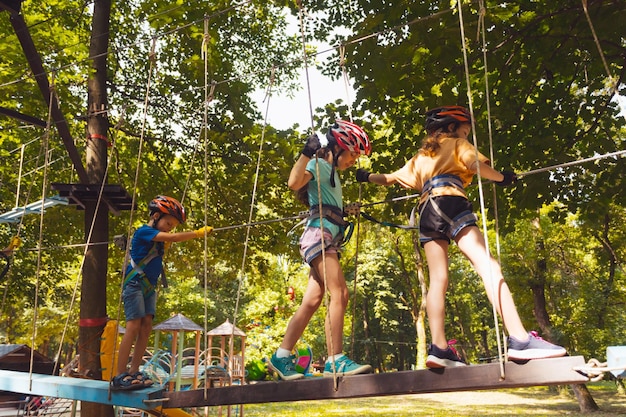 I ragazzi concentrati stanno arrampicando nel parco ad alta fune