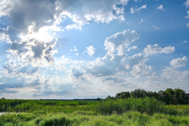 i raggi del sole sfondano le nuvole sul prato