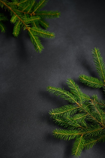 I rami dell'albero di Natale sono piatti su sfondo nero Tema di Natale Spazio vuoto per il testo