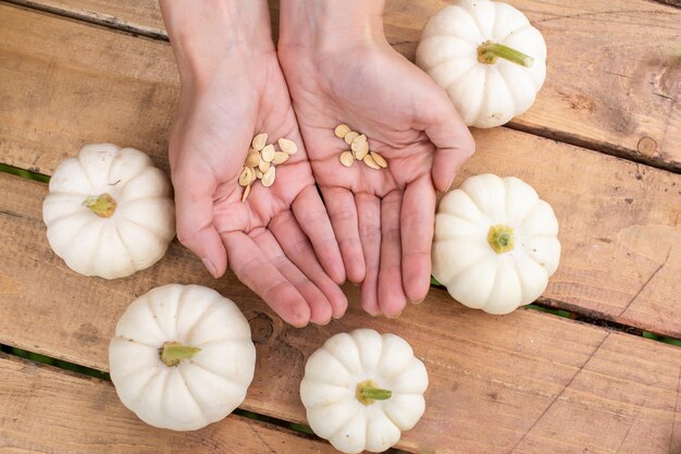 I semi di zucca giacciono nel palmo della tua mano