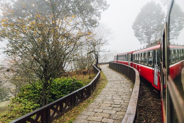 I treni rossi commoventi nella ferrovia della foresta di Alishan si fermano con gli alberi del mosso fuori a Alishan, Taiwan.