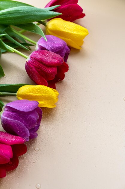 i tulipani giacciono su uno sfondo semplice vista dall'alto vista piatta vacanza