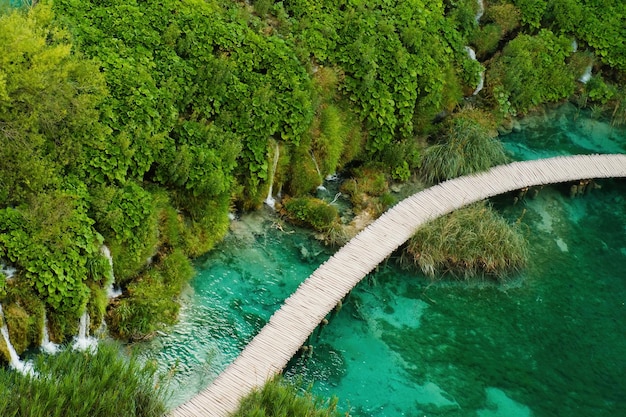 I turisti camminano sulla passerella di legno costruita sul lago in riserva