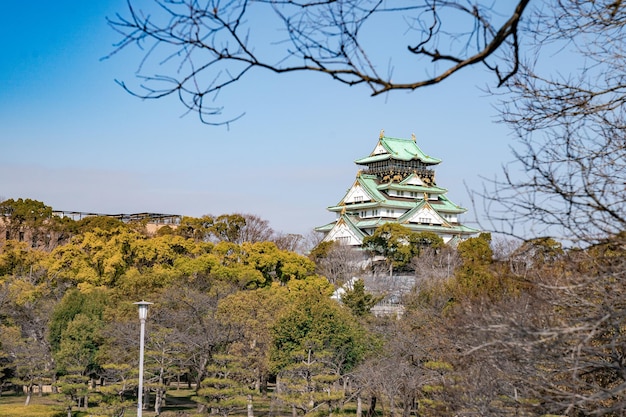 I turisti giapponesi I viaggiatori hanno camminato intorno al castello di Osaka nel marzo 2018 con un albero secco intorno a Oaska, in Giappone