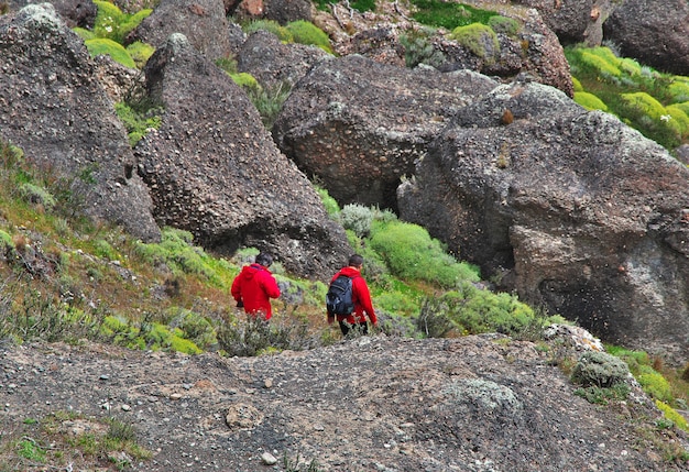 I turisti nel Parco Nazionale Torres del Paine, Patagonia, Cile