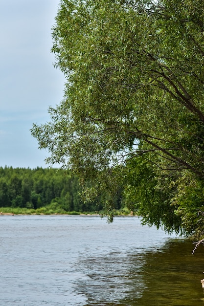 i turisti si rilassano sul fiume Volga