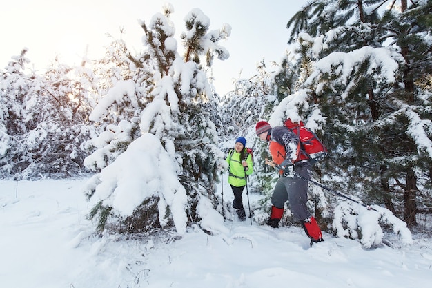 I turisti stanno camminando nella foresta invernale