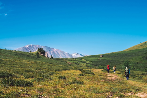 I viaggiatori con grandi zaini vanno sul sentiero nella verde valle verso le montagne