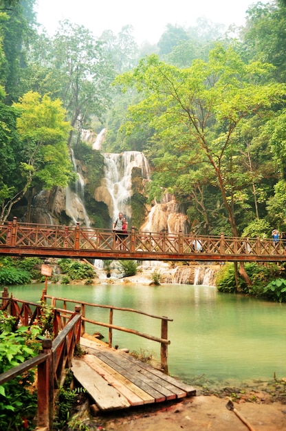 I viaggiatori stranieri laotiani visitano il ponte di legno per guardare e scattare foto al punto di vista delle cascate di Tat Kuang Si Falls nella città di Luangprabang Lao l'8 aprile 2016 a Luang Prabang Laos