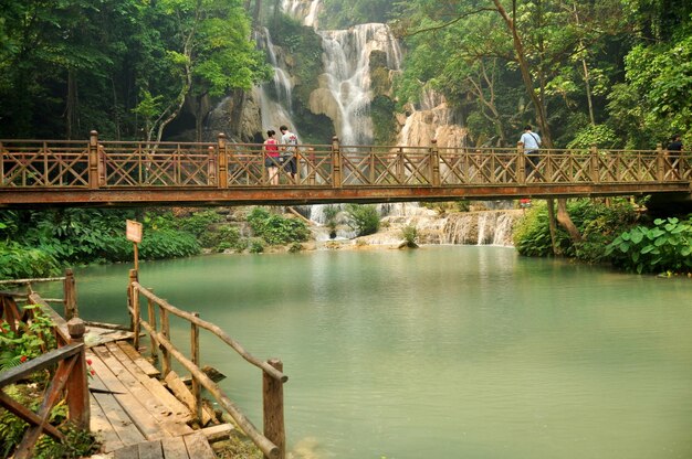 I viaggiatori stranieri laotiani visitano il ponte di legno per guardare e scattare foto al punto di vista delle cascate di Tat Kuang Si Falls nella città di Luangprabang Lao l'8 aprile 2016 a Luang Prabang Laos