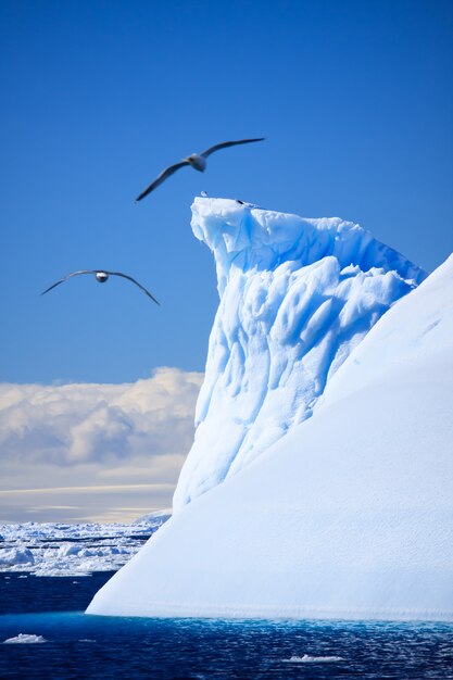 Iceberg antartico