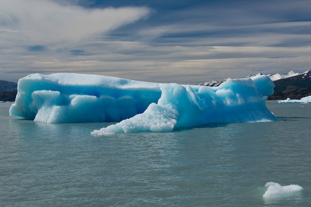 Iceberg galleggiante sul lago Argentino