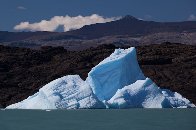 Iceberg vicino al ghiacciaio in fusione