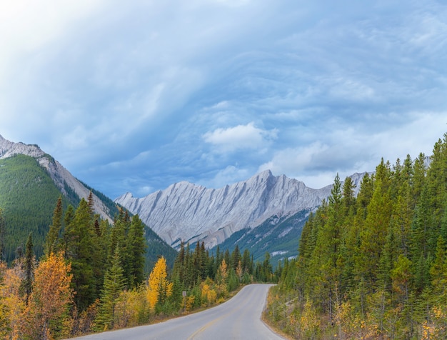 Icefield Parkway nel Parco Nazionale di Jasper Alberta Canada