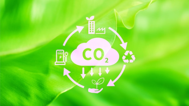 Icona di riduzione della CO2 con circolare per ridurre l'impronta di carbonio di CO2 e il credito di carbonio per limitare il riscaldamento globale dovuto ai cambiamenti climatici Bio Circular Green Economy concept
