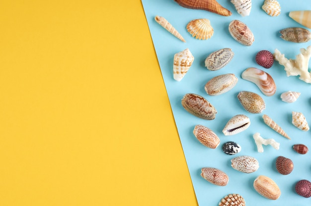 Idea della composizione in vacanze estive, conchiglie su fondo blu e giallo con copyspace