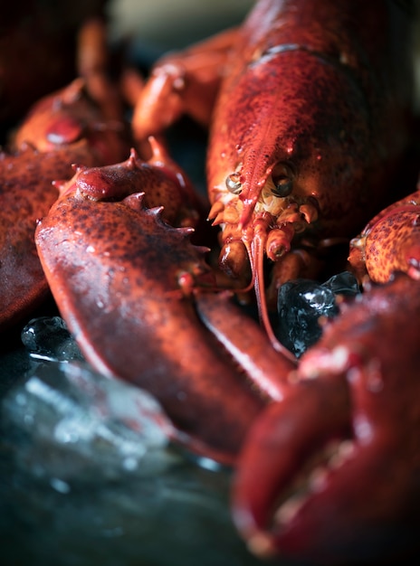 Idea di ricetta di fotografia di cibo di aragosta cucinata