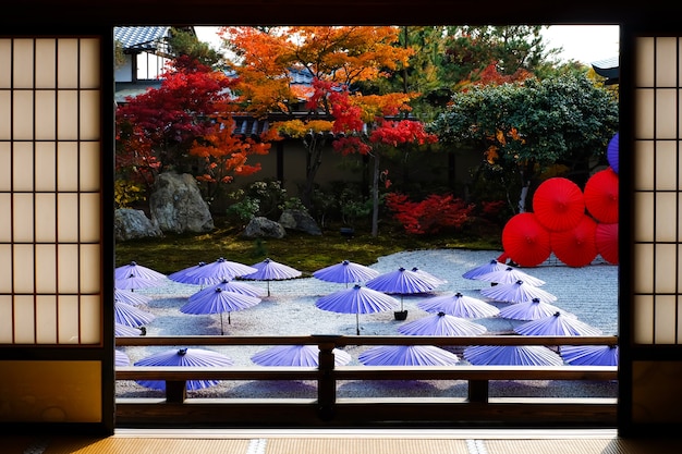 Idee della decorazione dell&#39;ombrello nel giardino di zen al tempio Giappone di Tofukuji.