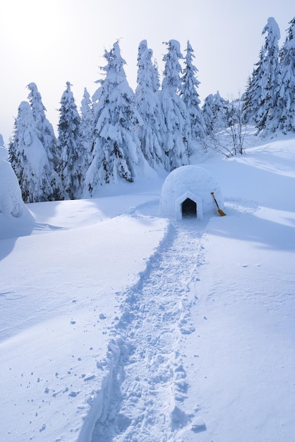 Igloo di neve. Inverno in montagna. Paesaggio con rifugio per turisti estremi. Avventura all'aperto