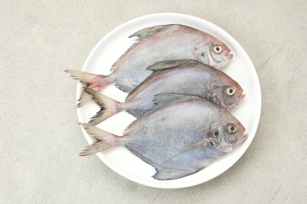 Ikan Dorang o Ikan Bawal Putih preparazione alimentare