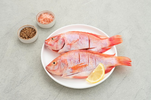 Ikan Nila Merah Il pesce tilapia rosso crudo è una specie di consumo di pesce d'acqua dolce