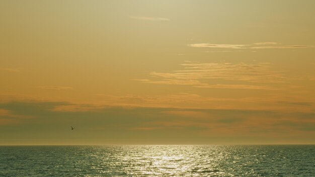 Il bagliore del sole sullo sfondo dell'acqua del flusso d'acqua sotto l'influenza della luce del mare o dell'oceano è ondulato