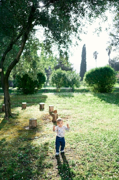 Il bambino cammina attraverso la radura sullo sfondo di ceppi e un albero